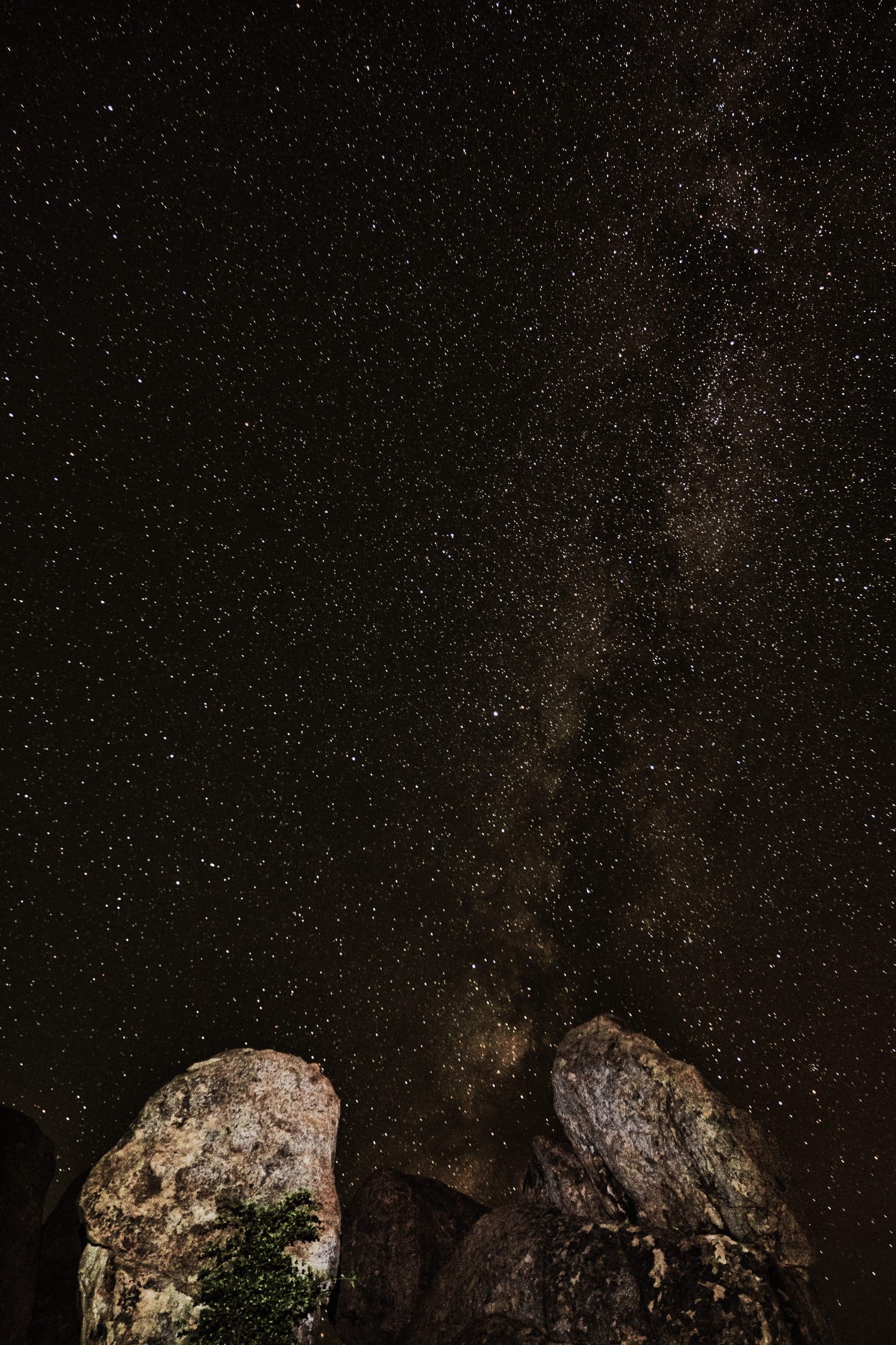 USA 2024 5 Sterne 72